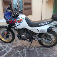 Honda dominator rd02