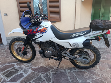 Honda dominator rd02