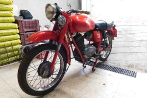 Moto Guzzi Stornello