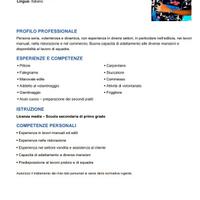 Volatniaggio commesso fabbriche ecc