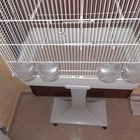 GABBIA UCCELLI FOP JANINE