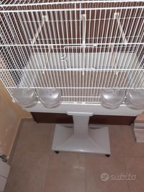 GABBIA UCCELLI FOP JANINE