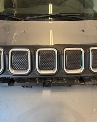 Mascherina jeep compass
