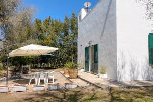 VILLA immersa negli ulivi
