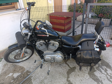 Harley Davidson xl883l