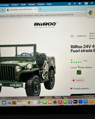 Jeep marca Riiroo
