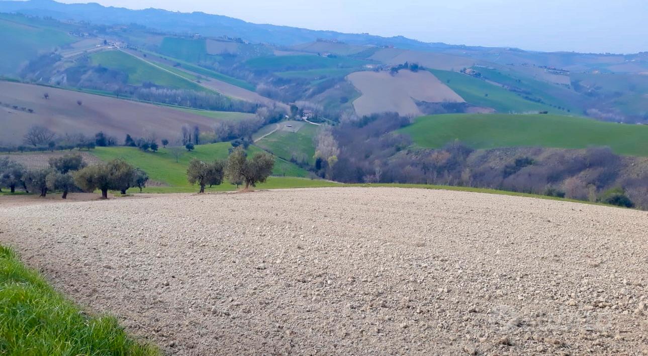 Fabbricato rurale+Terreno - Vista 3