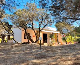 Villa Ibiscus soggiorno relax a Villasimius per 4