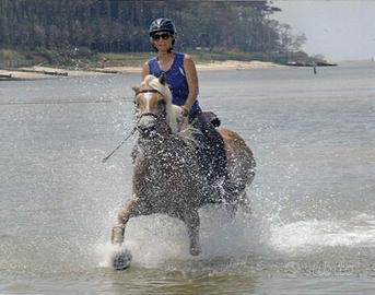 Chiodi per calzature cavallo