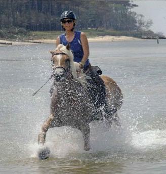 Chiodi per calzature cavallo