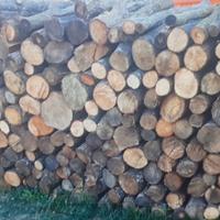 legna dì carpino.. é quercia.. dì prima qualità.