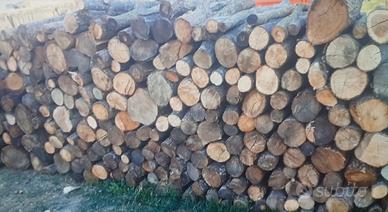 legna dì carpino.. é quercia.. dì prima qualità.
