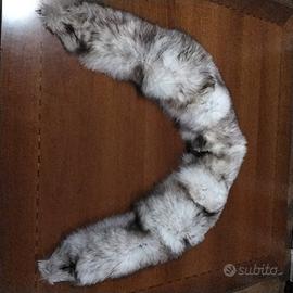collo in pelliccia Volpe argentata 