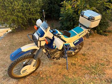 Suzuki DR 600 Djebel da Collezione
