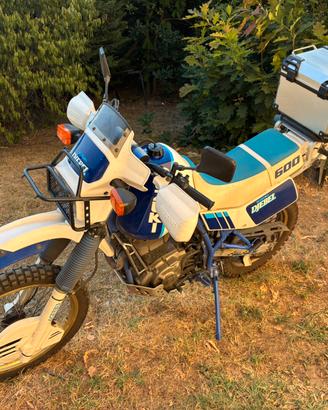 Suzuki DR 600 Djebel da Collezione