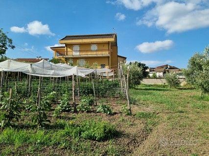 Terreno edificabile in zona centrale - Vista 4
