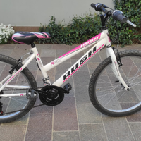 Mountain bike