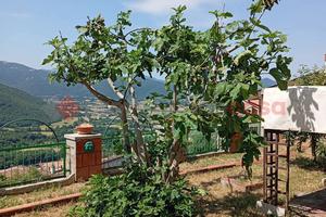 Appartamento Pereto [Cod. rif 3244601VRG]