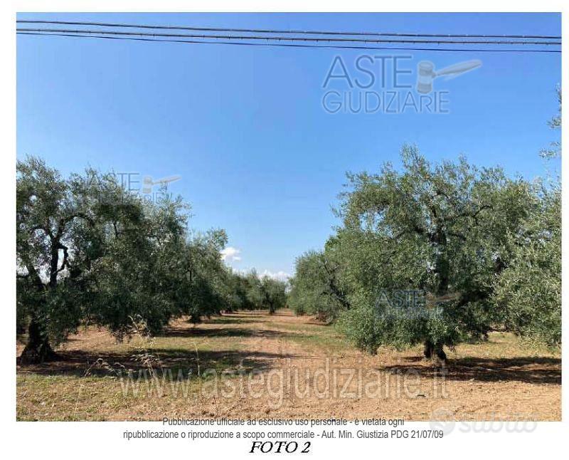Terreno Agricolo Bitonto [A4354217] - Vista 2