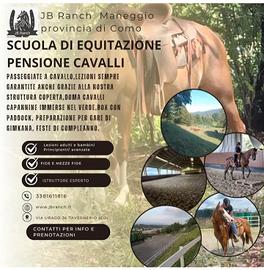 Box cavalli in autogestione