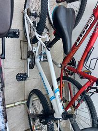 Bicicletta bambino