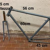 Telaio bici con forcella