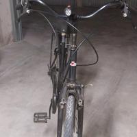 bici da passeggio 