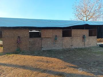 Box per cavalli