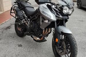 Tiger 800 Xrx