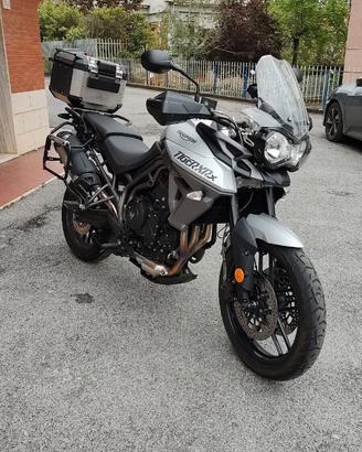 Tiger 800 Xrx