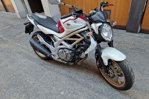 Suzuki Gladius 650 