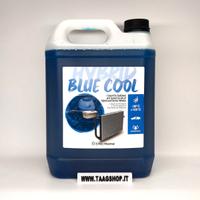 LIQUIDO RADIATORE BLU ERRECHOME 5 LITRI PER AUTO