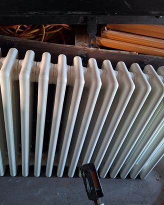 radiatore Zehnder