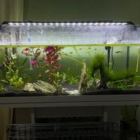 acquario con mobiletto