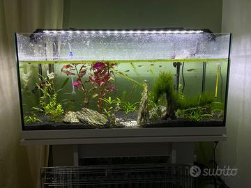 acquario con mobiletto