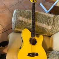 Chitarra acustica Ibanez