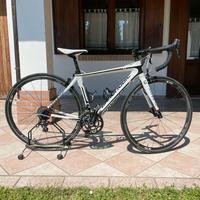 Cannondale Synapse carbonio