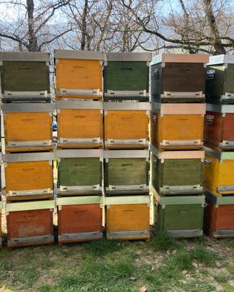 Arnie cubo 10 telaini