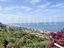Immagine 14
