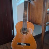 Chitarra classica Ibanez Andorra Classic