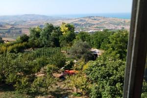 Casa semi indipendente con garage e cantina