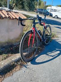 Bici da corsa  pinarello