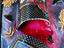 Immagine 5