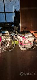 Mountain bike 