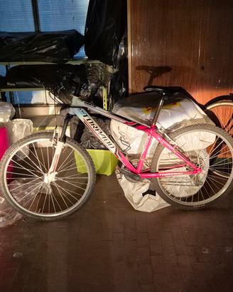 Mountain bike 