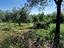 Immagine 14