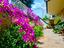 Immagine 19