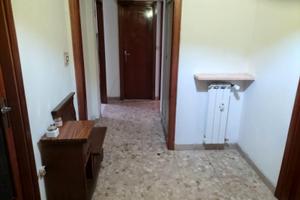 Disponibilità stanze