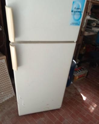 Frigo