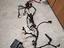 Immagine 4